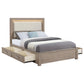 Kenora 56-inch Eastern King LED Storage Bed Barley Brown