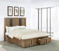 Terrace 2-drawer Eastern King Storage Bed Ash Brown